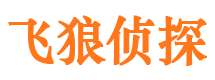 梁山市场调查